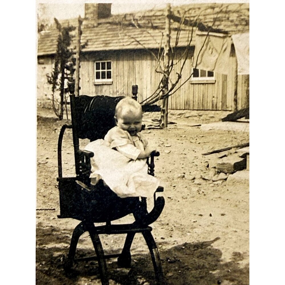 Antique CDV Photo Baby In Stroller Rustic Rural Farm Scene Horse Laundry 1870s - Picture 2 of 5